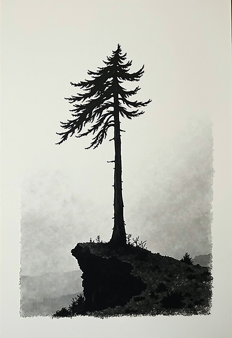 charcoal — a lone pine on a misty ridge, drawn by hand in charcoal
